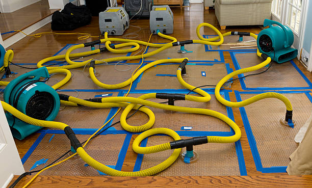 Professional Structural Drying And Dehumidification technician working in Edgewater, CO